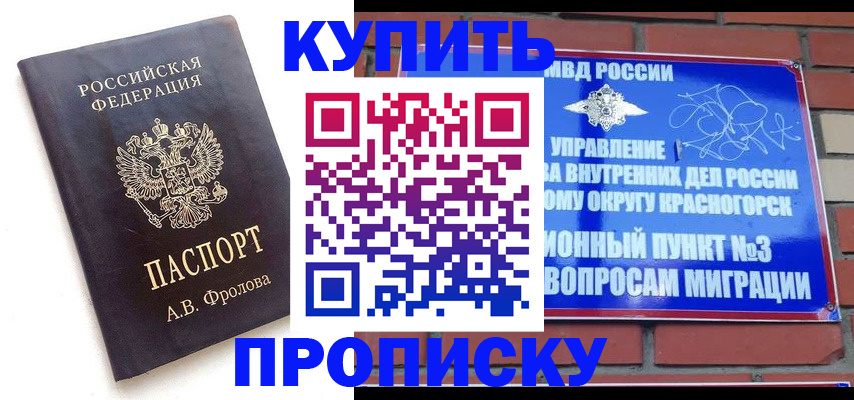 прописка поиск в Котовске